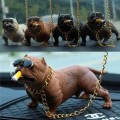 Pitbull Köpek