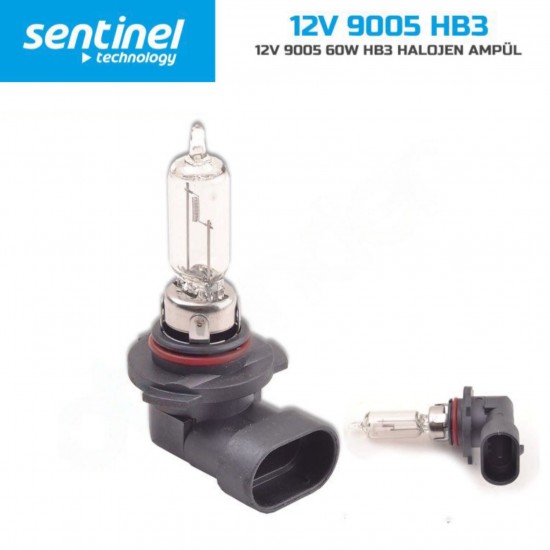 9005 HB3 Halojen Ampül 12v