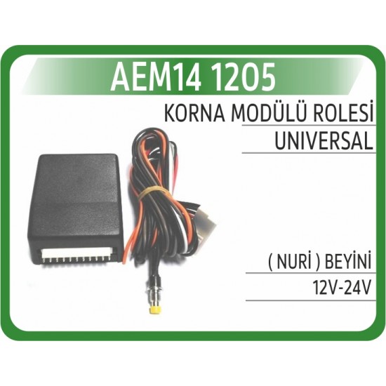 Korna Modülü Rolesi Nuri Beyini 12V/24V 1205