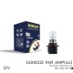 Niken 12v PSX26W Gündüz Far Ampülü(PG18.5d-3) 10LU
