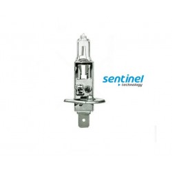 Sentinel H1 12v 55w Halojen Far ve Sis Ampulü