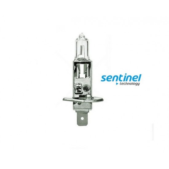 Sentinel H1 12v 55w Halojen Far ve Sis Ampulü 10'lu Paket