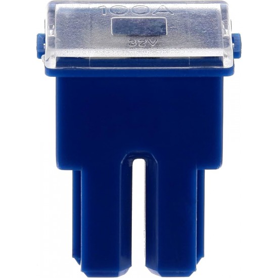 Japon Sigorta Dişi 100A 10Adet